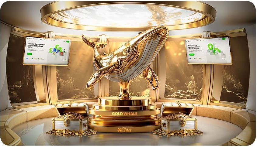 xchief - جشنواره نهنگ طلایی - بروکر ایکس چیف